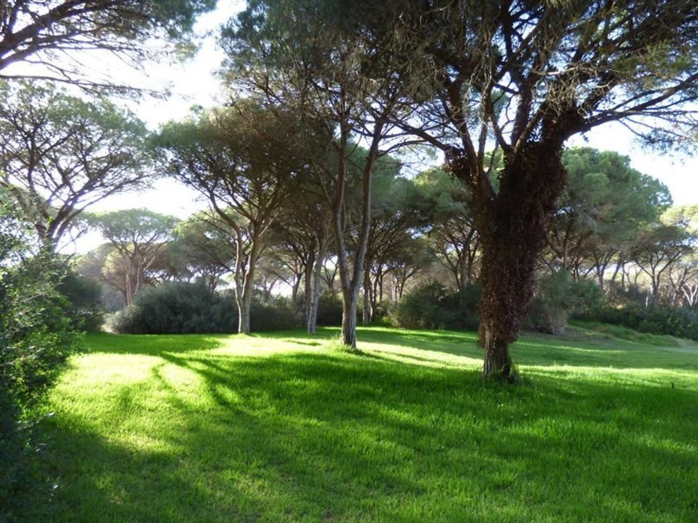 Hotel Fortezza Arborea Bagian luar foto