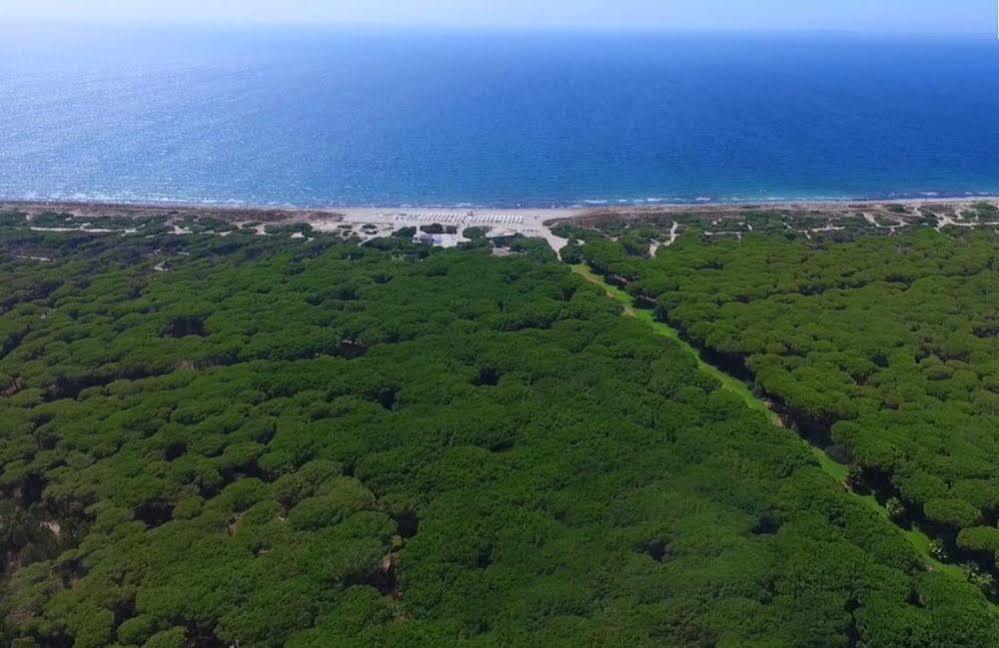 Hotel Fortezza Arborea Bagian luar foto